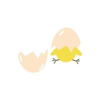 söt liten nyfödd gul kyckling som kläcks från ägget. vektor illustration