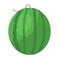 somrar frukt, vattenmelon platt ikon vektor