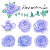 satz von rosa aquarellelementen. Blume, Blätter, Knospe, botanisch isoliert auf weißem Hintergrund. hand gezeichnete vektorillustration. vektor