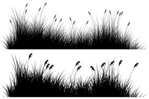 schwarzes Schilf-Gras-Set isoliert auf weißem Hintergrund vektor
