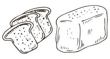 Brot-Skizze-Stil-Vektor-Illustration. alte handgezeichnete Stichnachahmung. Laib Brot Abbildung vektor