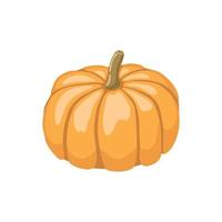 Halloween-Kürbis-Symbol Orangenkürbis für Ihr Design. Halloween-Urlaub. Vektor-Illustration. vektor