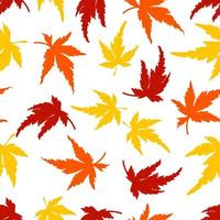 Japanischer Ahorn lässt Herbstmuster vektor