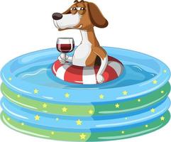 ein Beagle-Hund im aufblasbaren Pool vektor