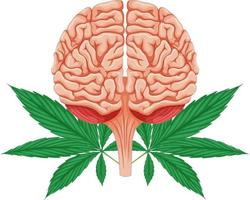mänsklig hjärna och cannabisväxt vektor