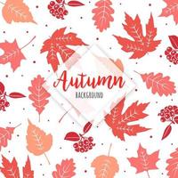 Vackra höstens färgglada löv vektor