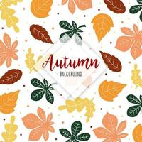 Schöner Herbst-bunter Blatt-Hintergrund vektor