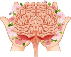 menschliches gehirn in händen vektor