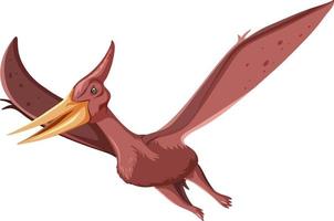 ein Dinosaurier Pteranodon auf weißem Hintergrund vektor