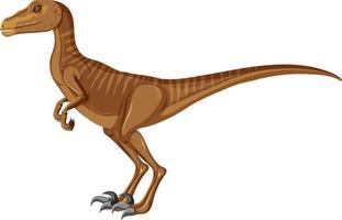 Velociraptor-Dinosaurier auf weißem Hintergrund vektor