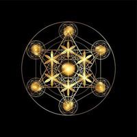 Metatrons Würfel, Blume des Lebens. goldene heilige geometrie. mystische goldene ikone platonische festkörper merkabah, abstrakte geometrische zeichnung, kornkreiszeichen. grafischer logoelementvektor lokalisiert auf schwarz vektor