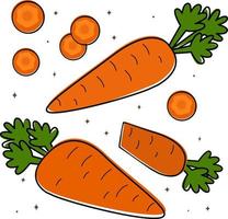 vektor illustration av en uppsättning med morötter. designelement för reklam och omslag, barnböcker, matillustrationer. vektor av frukter, blad av trädgårdsväxter. dietary nutrition.användbara produkter