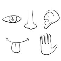 Symbolsatz von fünf menschlichen Sinnen ist Auge, Nase, Ohr, Hand, Mund mit Zunge. mit handgezeichnetem Doodle-Stil-Vektor