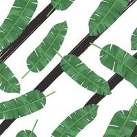 tropiska blad vektor seamless mönster