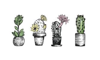 Kaktus-Skizzensatz. Zimmerpflanzen in Töpfen. Hobby zu Hause. Botanik Dekoration für den Innenraum. Vektorillustration auf weißem Hintergrund vektor