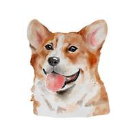 Hund Welsh Corgi Aquarellmalerei. entzückendes welpentier lokalisiert auf weißem hintergrund. realistische niedliche hundeporträt-vektorillustration vektor