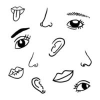 Vektorlinie Augen, Ohren, Mund und Nase