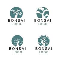 orientalisk bonsai konst, japansk mini liten växt träd på kruka siluett logotyp design vektor