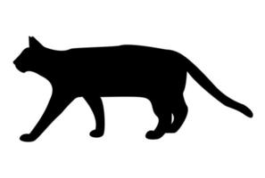 Katze-Tier-Silhouette-Vektor-Illustration vektor
