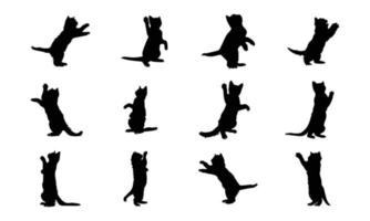 Katze-Vektor-Silhouette. Seitenansicht isoliert auf weißem Hintergrund. vektor