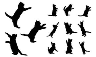 Katze-Vektor-Silhouette. Seitenansicht isoliert auf weißem Hintergrund. vektor