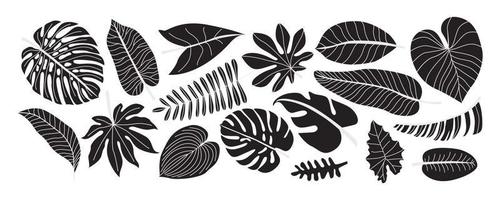 svarta silhuetter av tropiska palmblad. monstera och palmdjungelblad, exotiskt bladverk, dekorativ naturlig växt. handritad platt illustration set vektor