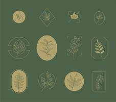 Monokromatisk botanisk logosamlingsuppsättning. vektor