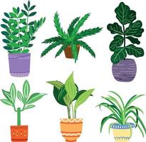 Reihe von dekorativen grünen Zimmerpflanzen vektor