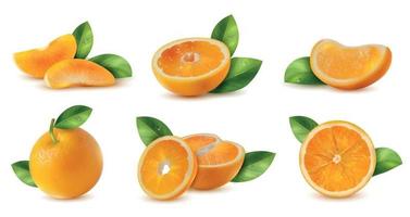 Orange mit Blättern vektor