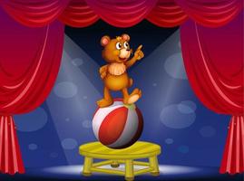 Ein Bär, der auf Ball an der Zirkusshow steht