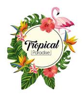 etikett med tropiska blommor med exotiska blad vektor