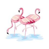 tropische Flamingos schöne wilde Tiere vektor