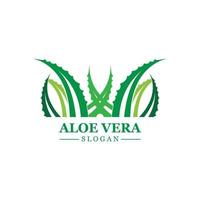 grön växt aloe vera logotyp vektor ikon symbol många fördelar