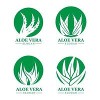 grön växt aloe vera logotyp vektor ikon symbol många fördelar