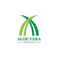 Grüne Pflanze Aloe Vera Logo Vektorsymbol Symbol viele Vorteile vektor