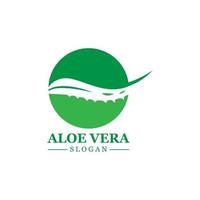 Grüne Pflanze Aloe Vera Logo Vektorsymbol Symbol viele Vorteile vektor