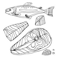 kaviar skizzenillustration. Lachskaviar zeichnen. Vektor Vintage Fischfutter. schwarz-rotes Fischei in handgezeichnetem Doodle-Design.