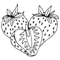 jordgubbskontur - vektor tre frukt svart