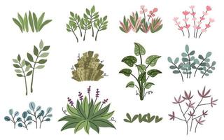 Pflanzen- und Blattvektorsammlung im Doodle-Stil, die an eine Vielzahl von Anwendungen angepasst werden kann vektor