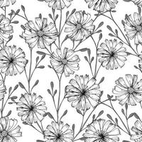 sömlös vektormönster med cikoriablomma. svarta blommor och örter är isolerade på vit bakgrund. tryckdesign för tapeter, textil, tyg, inslagning av presenter, keramiska plattor vektor