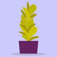 eine Zimmerpflanze. eine grüne Blume in einem lila Topf. Das Bild ist in einem flachen Stil erstellt. Vektor-Illustration. vektor