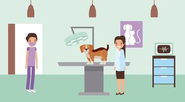 Haustier und Tierarzt vektor