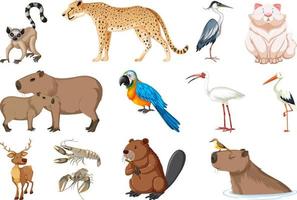 uppsättning av olika sorters djur vektor
