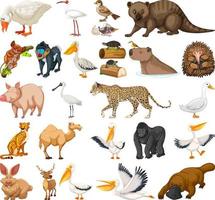 olika sorters djursamlingar vektor