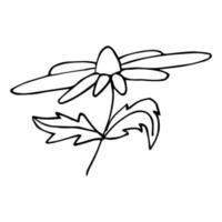 vektor enkel blomma doodle clipart. handritad blommig illustration isolerad på vit bakgrund. för tryck, webb, design, dekor, logotyp.