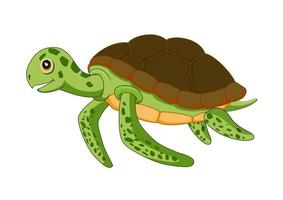 tecknad sköldpadda isolerad på vit bakgrund vektor