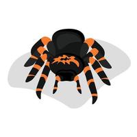 Tarantula-Spinne im Cartoon-Stil, dunkles Spinnentier mit leuchtend orangefarbenen Streifen vektor
