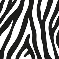 schwarze Streifen auf der Haut eines Zebras für Dekorationsgrafiken vektor