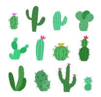 handritad kaktus set. samling av taggiga och tropiska hemväxter i öknen. vektor illustration.