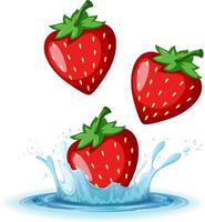 ett vattenstänk med jordgubbe på vit bakgrund vektor